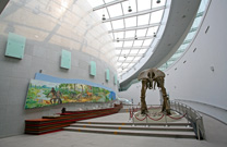 陕西自然博物馆