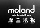 丹麦Moland集团