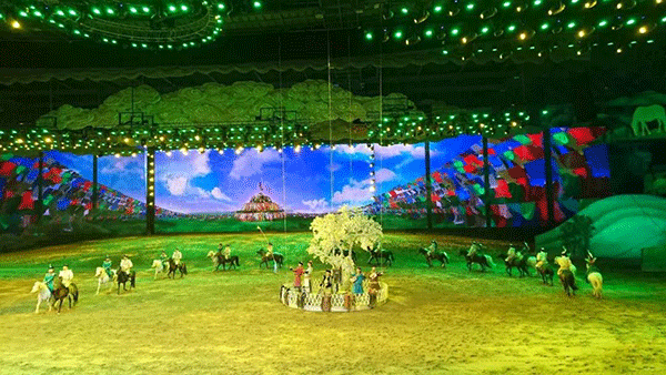 《千古马颂》大型马文化实景表演现场